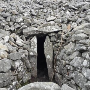 Decolonization in Ireland course (SUGGESTED FEE OPTION)